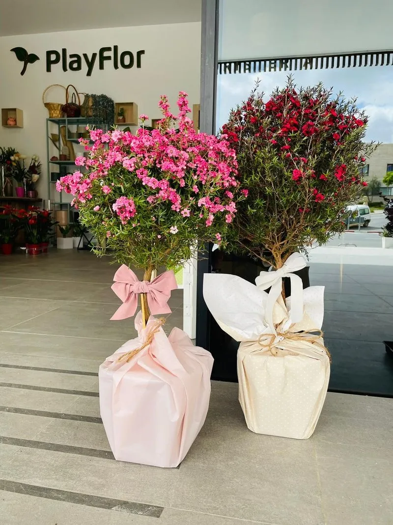 Foto 7 - Playflor organiza un sorteo por el D&iacute;a de la Madre