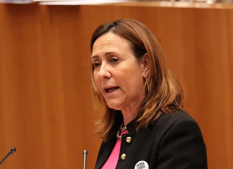 Rosa Rubio, procuradora del PSOE en las Cortes 