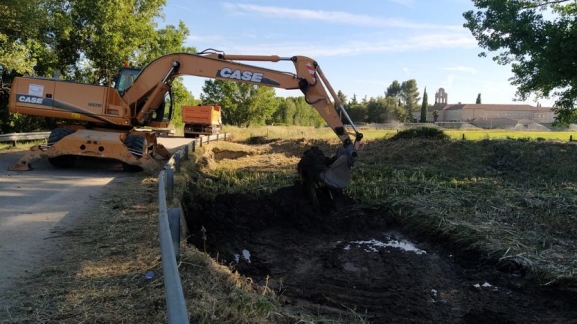 Labores de desbroce y limpieza en diferentes puntos de Alba de Tormes | Imagen 1