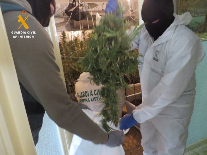 Ciudad Rodrigo, redada con 4 detenidos y 48 kilos marihuana