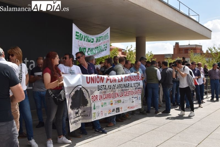 Unión por la Ganadería reivindicará en Toledo su participación en el Foro de Ganadería Extensiva