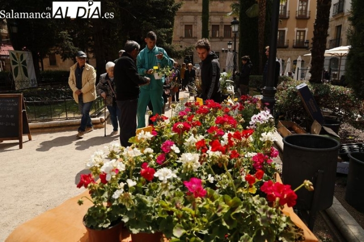 Salamanca: Mercado de las Flores 