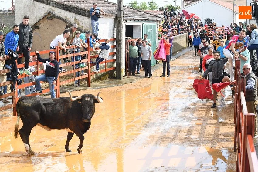 Fiestas de San Miguel Arcángel en Bocacara/ Fotos: Adrián M.Pastor