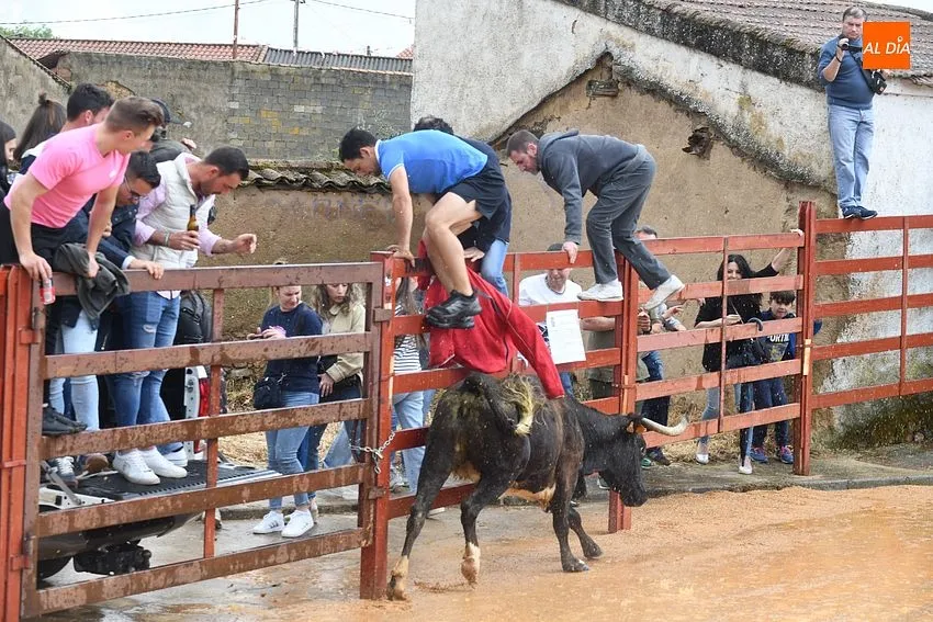 Fiestas de San Miguel Arcángel en Bocacara/ Fotos: Adrián M.Pastor