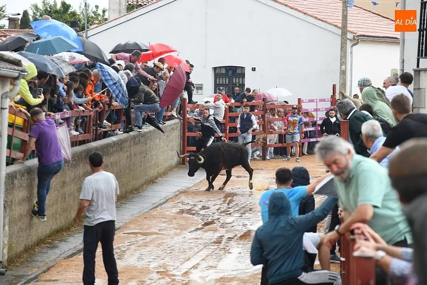 Fiestas de San Miguel Arcángel en Bocacara/ Fotos: Adrián M.Pastor