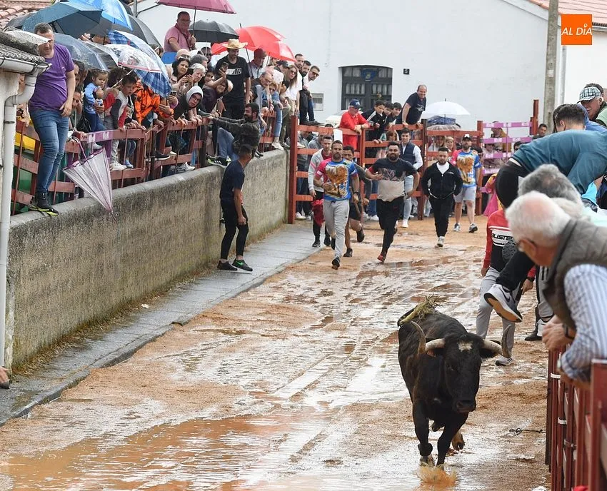 Fiestas de San Miguel Arcángel en Bocacara/ Fotos: Adrián M.Pastor