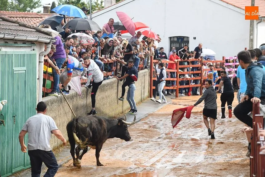Fiestas de San Miguel Arcángel en Bocacara/ Fotos: Adrián M.Pastor