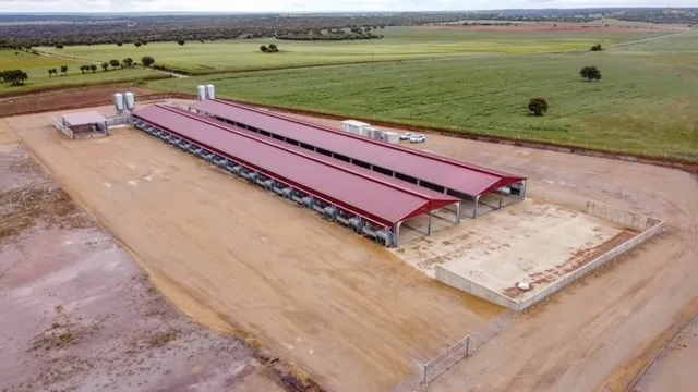 Se han construido dos modernas naves ganaderas, cada una con 18 corrales y una capacidad total para albergar 650 terneros