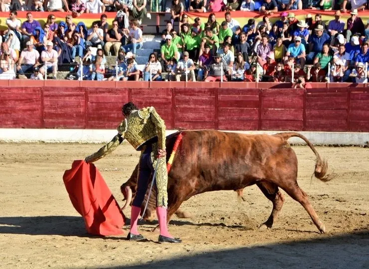 Foto 8 - El futuro triunfa en Ledesma: triple Puerta Grande