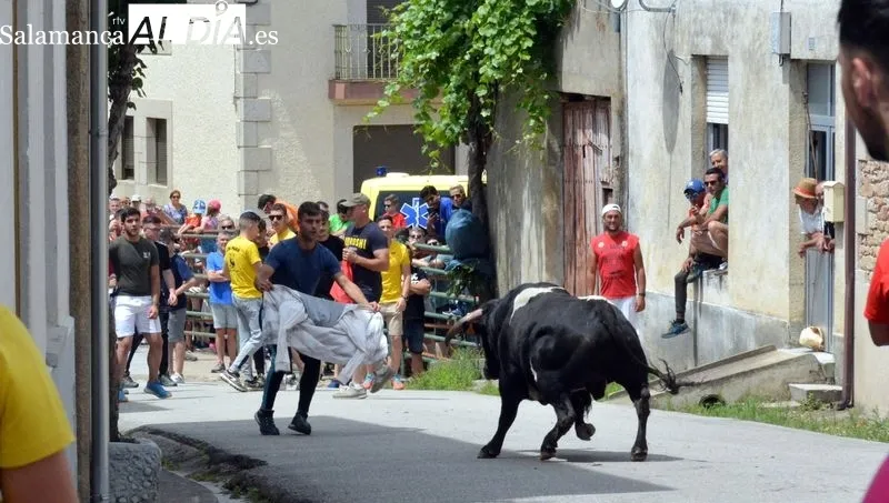 Foto 3 - El toro de caj&oacute;n abre los festejos taurinos de San Juan Bautista en Hinojosa de Duero