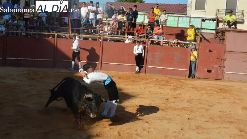Foto 3 - Animada tarde taurina en las fiestas de San Juan de Hinojosa de Duero