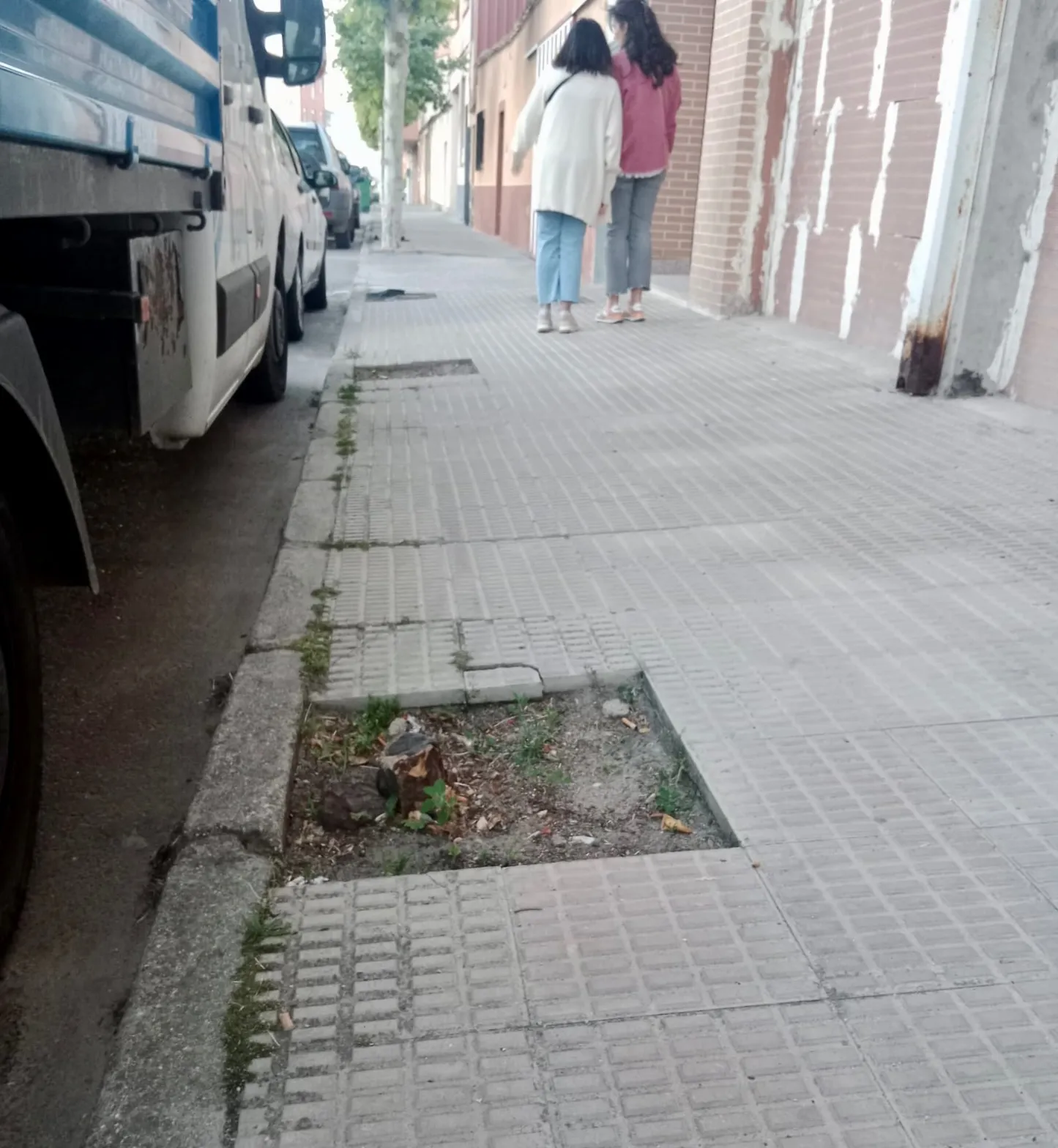 Foto 3 - Pe&ntilde;aranda en Com&uacute;n pide una revisi&oacute;n urgente de los &aacute;rboles del casco urbano