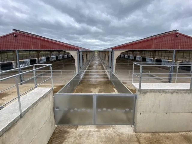 Se han construido dos modernas naves ganaderas, cada una con 18 corrales y una capacidad total para albergar 650 terneros