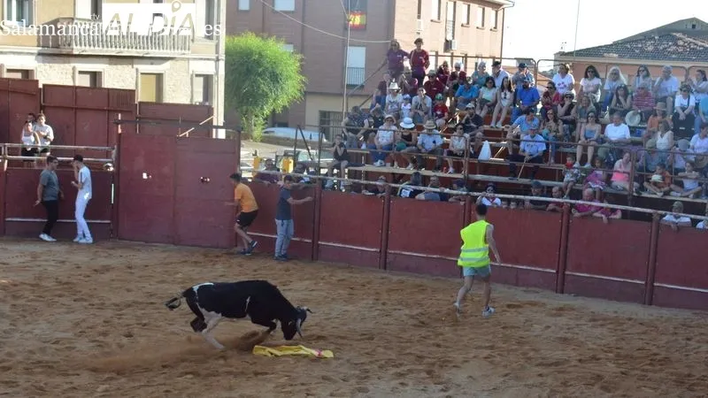 Foto 11 - Animada tarde taurina en las fiestas de San Juan de Hinojosa de Duero