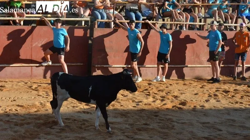 Foto 9 - Animada tarde taurina en las fiestas de San Juan de Hinojosa de Duero