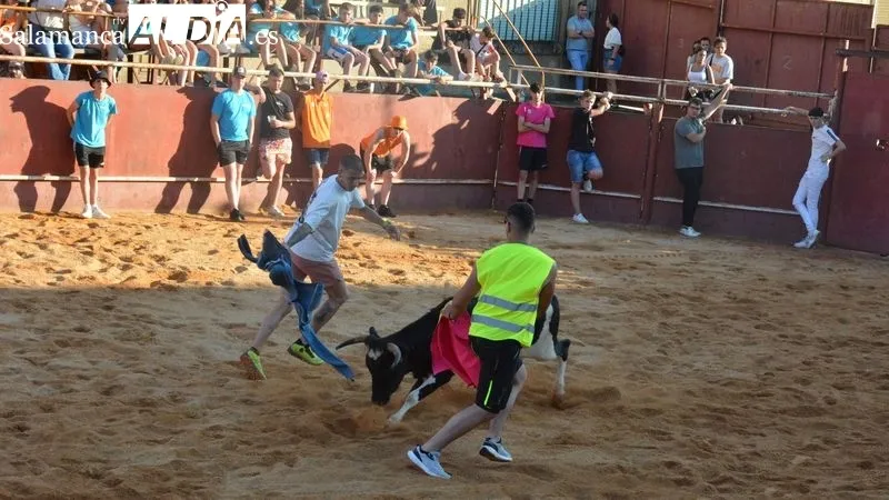 Foto 7 - Animada tarde taurina en las fiestas de San Juan de Hinojosa de Duero