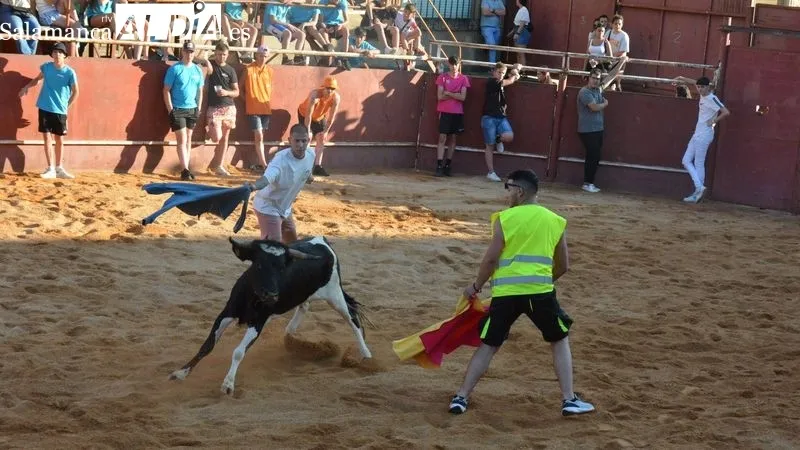 Foto 6 - Animada tarde taurina en las fiestas de San Juan de Hinojosa de Duero
