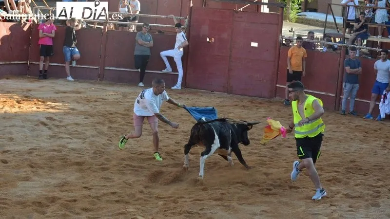 Foto 5 - Animada tarde taurina en las fiestas de San Juan de Hinojosa de Duero