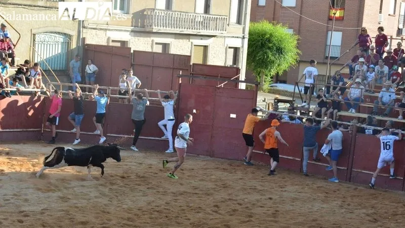 Foto 4 - Animada tarde taurina en las fiestas de San Juan de Hinojosa de Duero