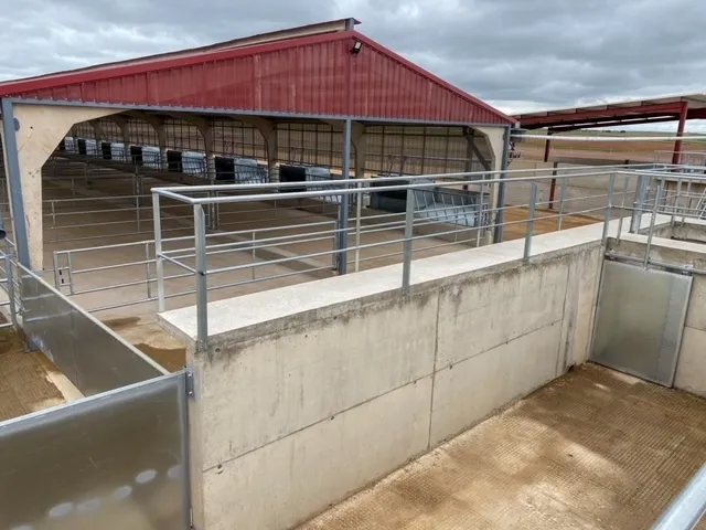 Se han construido dos modernas naves ganaderas, cada una con 18 corrales y una capacidad total para albergar 650 terneros