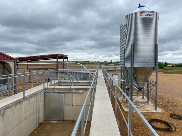 Se han construido dos modernas naves ganaderas, cada una con 18 corrales y una capacidad total para albergar 650 terneros