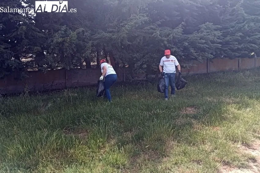Recogida de basura en el entorno de la plaza de toros de Vitigudino por personas voluntarias de Cruz Roja 