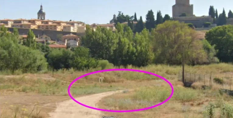 Foto 2 - Cambia el lugar de lanzamiento de los fuegos artificiales, que se desarrollar&aacute;n el 14 de agosto