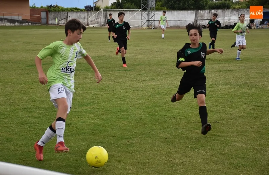 Foto 2 - El Victoria de Valladolid se adjudica el Torneo Infantil del Ciudad Rodrigo CF