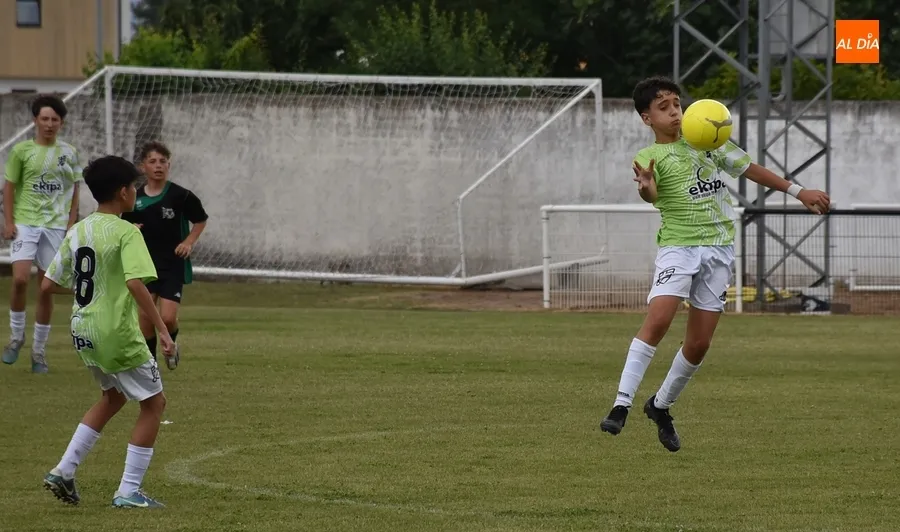 Foto 6 - El Victoria de Valladolid se adjudica el Torneo Infantil del Ciudad Rodrigo CF
