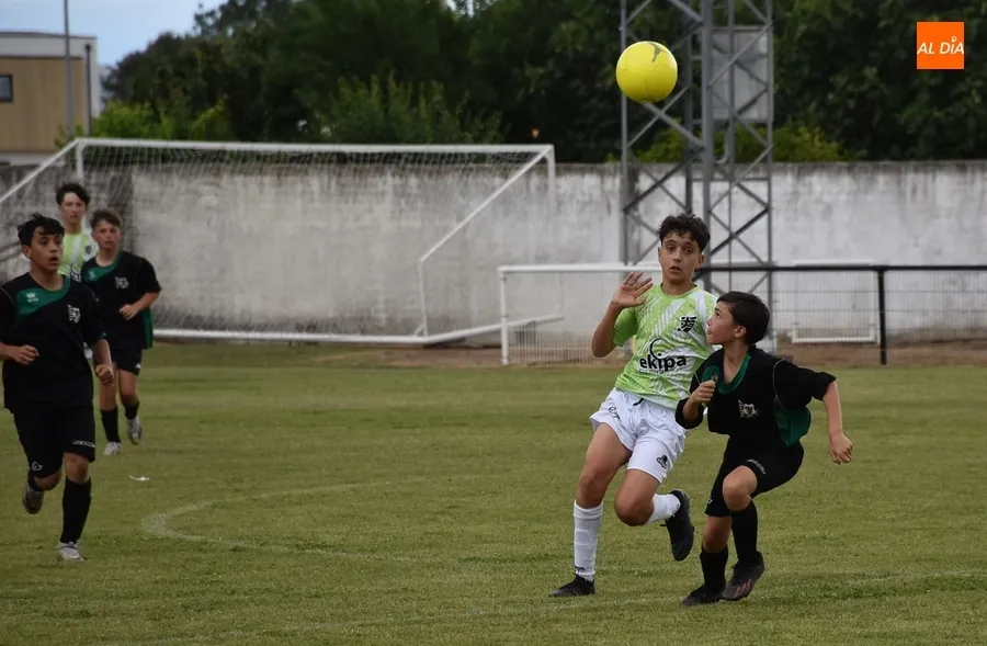 Foto 7 - El Victoria de Valladolid se adjudica el Torneo Infantil del Ciudad Rodrigo CF