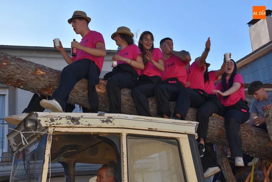Foto 5 - La juventud lidera el izado de un espectacular pino para abrir las fiestas de Robleda