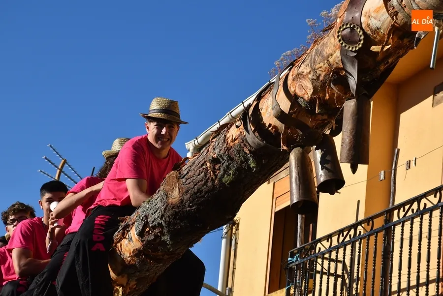 Foto 15 - La juventud lidera el izado de un espectacular pino para abrir las fiestas de Robleda