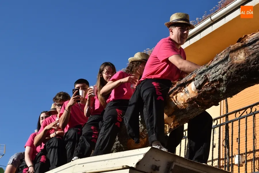 Foto 16 - La juventud lidera el izado de un espectacular pino para abrir las fiestas de Robleda