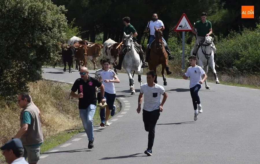 Foto 7 - Robleda disfruta de un encierro a caballo puntual, r&aacute;pido, limpio y compacto