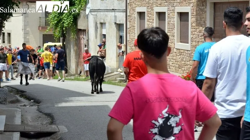 Los aficionados disfrutaron en el encierro y la capeada del eral