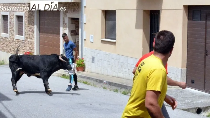 Los aficionados disfrutaron en el encierro y la capeada del eral