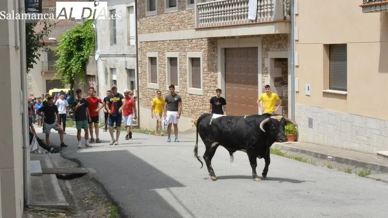 Los aficionados disfrutaron en el encierro y la capeada del eral