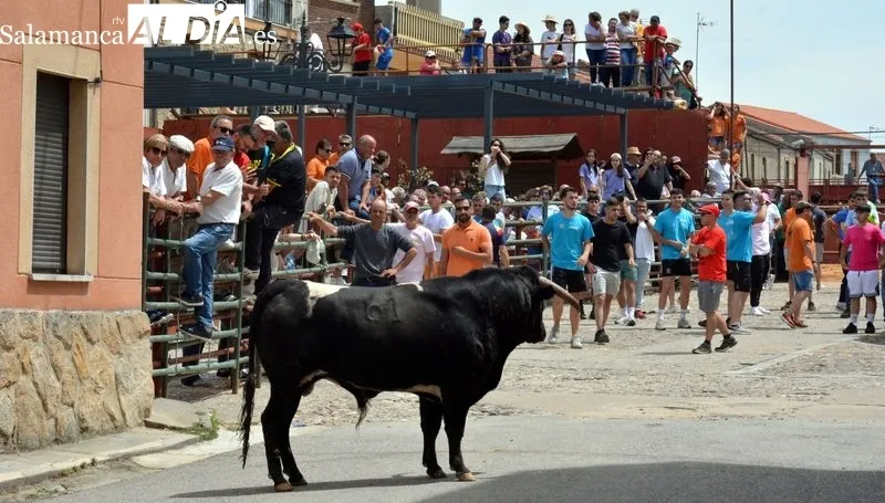Los aficionados disfrutaron en el encierro y la capeada del eral