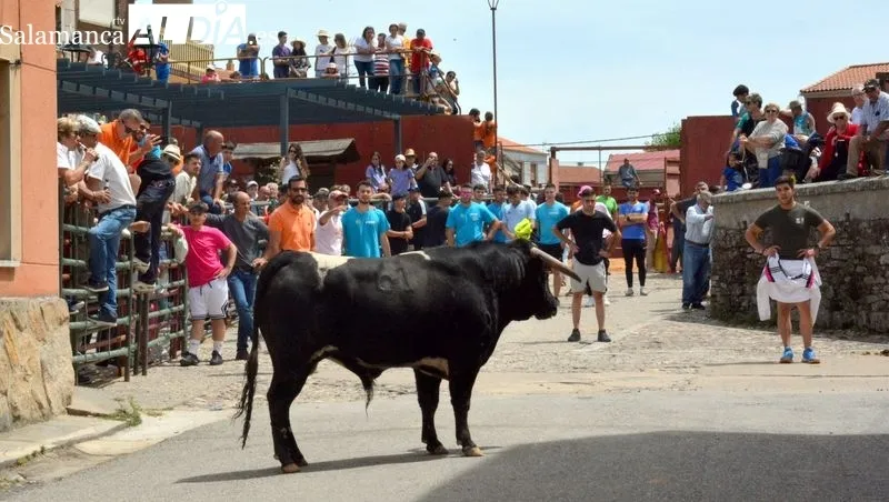 Los aficionados disfrutaron en el encierro y la capeada del eral