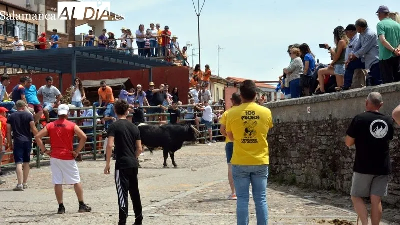 Los aficionados disfrutaron en el encierro y la capeada del eral