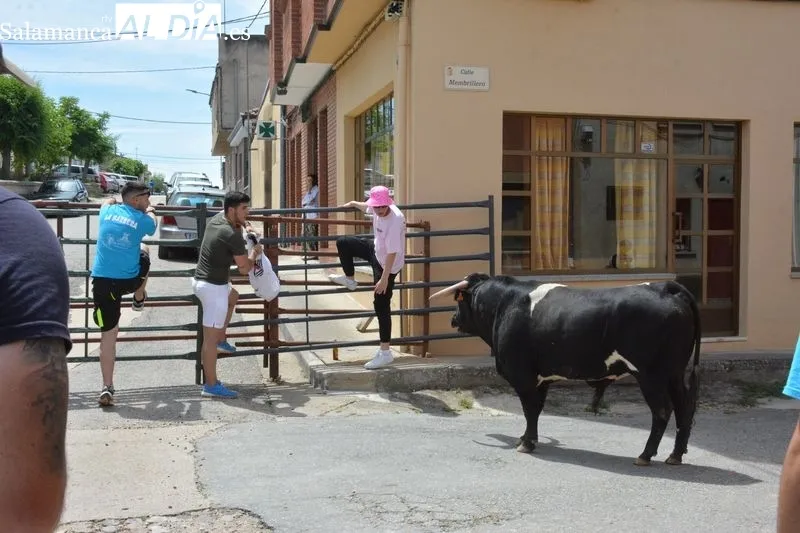 Los aficionados disfrutaron en el encierro y la capeada del eral