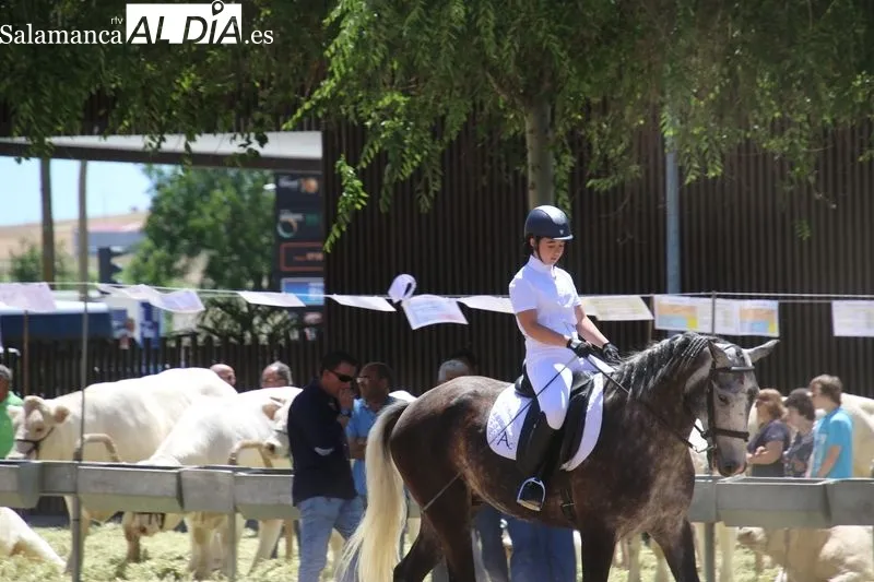 Foto 7 - Destacada exhibici&oacute;n de doma a cargo de alumnos de 'Laderas del Valle' 