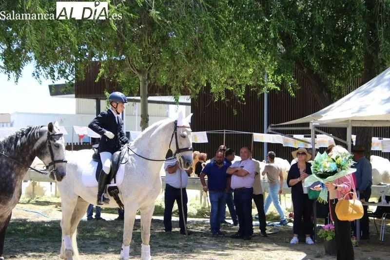Foto 3 - Destacada exhibici&oacute;n de doma a cargo de alumnos de 'Laderas del Valle' 