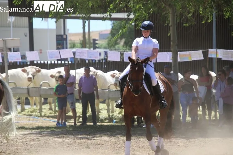 Foto 11 - Destacada exhibici&oacute;n de doma a cargo de alumnos de 'Laderas del Valle' 