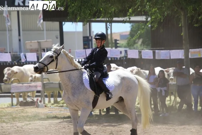 Foto 10 - Destacada exhibici&oacute;n de doma a cargo de alumnos de 'Laderas del Valle' 