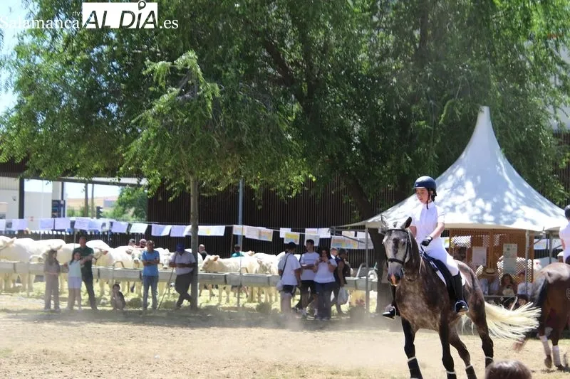 Foto 9 - Destacada exhibici&oacute;n de doma a cargo de alumnos de 'Laderas del Valle' 