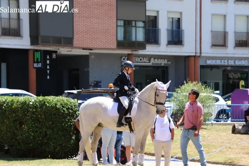 Foto 8 - Destacada exhibici&oacute;n de doma a cargo de alumnos de 'Laderas del Valle' 
