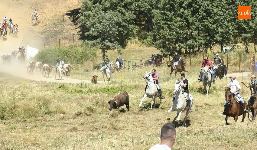 Encierro a caballo domingo en El Payo/ Fotos: Adrián M.Pastor