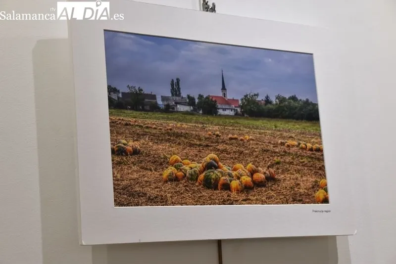 Inauguración de la muestra las ‘Maravillas de Eslovenia’ en el Espacio Joven. Foto: Vanesa Martins