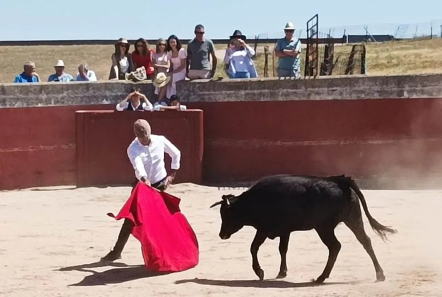 Foto 4 - La Pe&ntilde;a Jos&eacute; Ram&oacute;n Mart&iacute;n celebra su fiesta con Marco P&eacute;rez, Alejandro Marcos y Manuel Diosleguarde